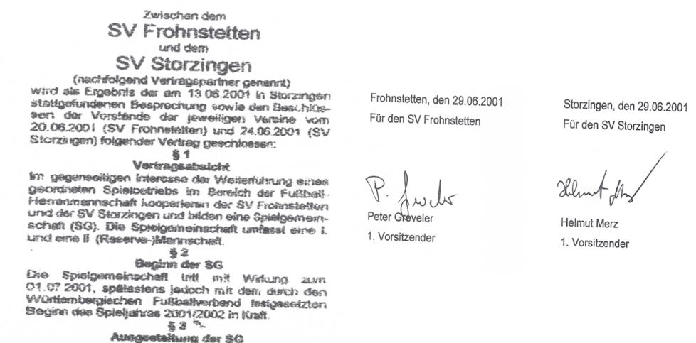 svsatzung2001