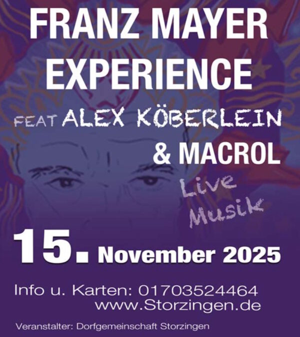 13. Rocknacht in der Weckensteinhalle in Storzingen