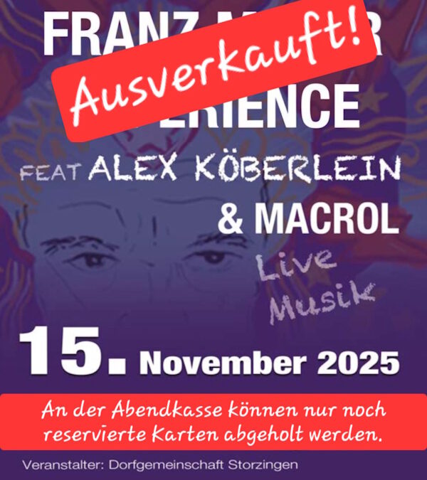 13. Rocknacht in der Weckensteinhalle in Storzingen